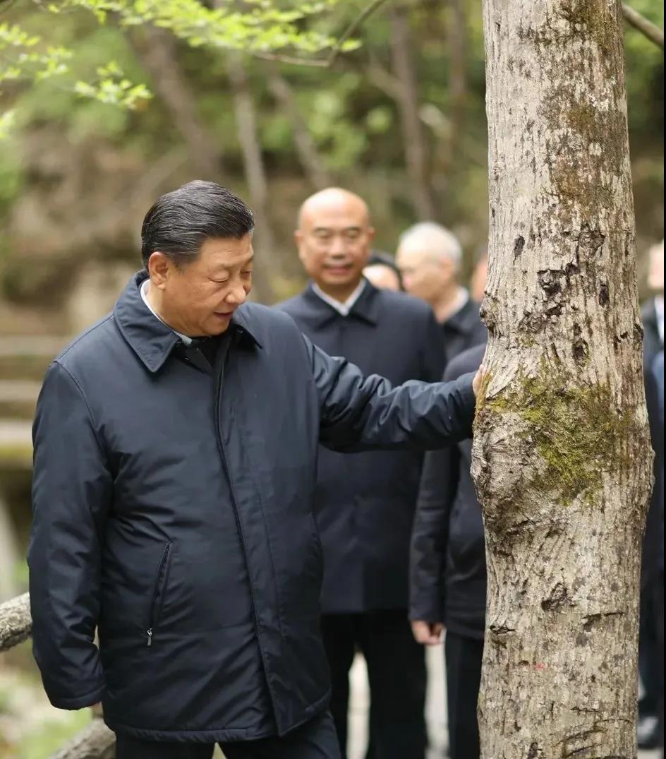 湖南綠楷節能環(huán)?？萍加邢薰?湖南土壤污染修復,污水處理工程,農業(yè)污染治理,環(huán)保工程