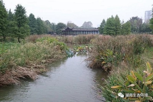 湖南綠楷節能環(huán)?？萍加邢薰?湖南土壤污染修復,污水處理工程,農業(yè)污染治理,環(huán)保工程